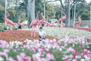 BIB: 
                            <button type="button" onclick="openModal(27344044)" class="btn btn-primary btn-sm float-right btn-popup" data-toggle="modal" data-target=".modal-high-quality">
                        <i class="fas fa-shopping-cart"></i> Add to Cart
                    </button>
                                            <button type="button" onclick="isThisMe(27344044, true)" class="btn btn-success btn-sm float-right btn-popup btn-isme hidden" data-toggle="tooltip" data-placement="bottom" title="นี่คือรูปของคุณใช่ไหม คลิกที่นี่เพื่อเอาเข้าอัลบั้ม">
                        <i class="fas fa-plus"></i> Add to album
                    </button>
                    <button type="button" onclick="isThisMe(27344044, false)" class="btn btn-warning btn-sm float-right btn-popup btn-isnotme hidden">
                        <i class="fas fa-ban"></i> Remove from album
                    </button>